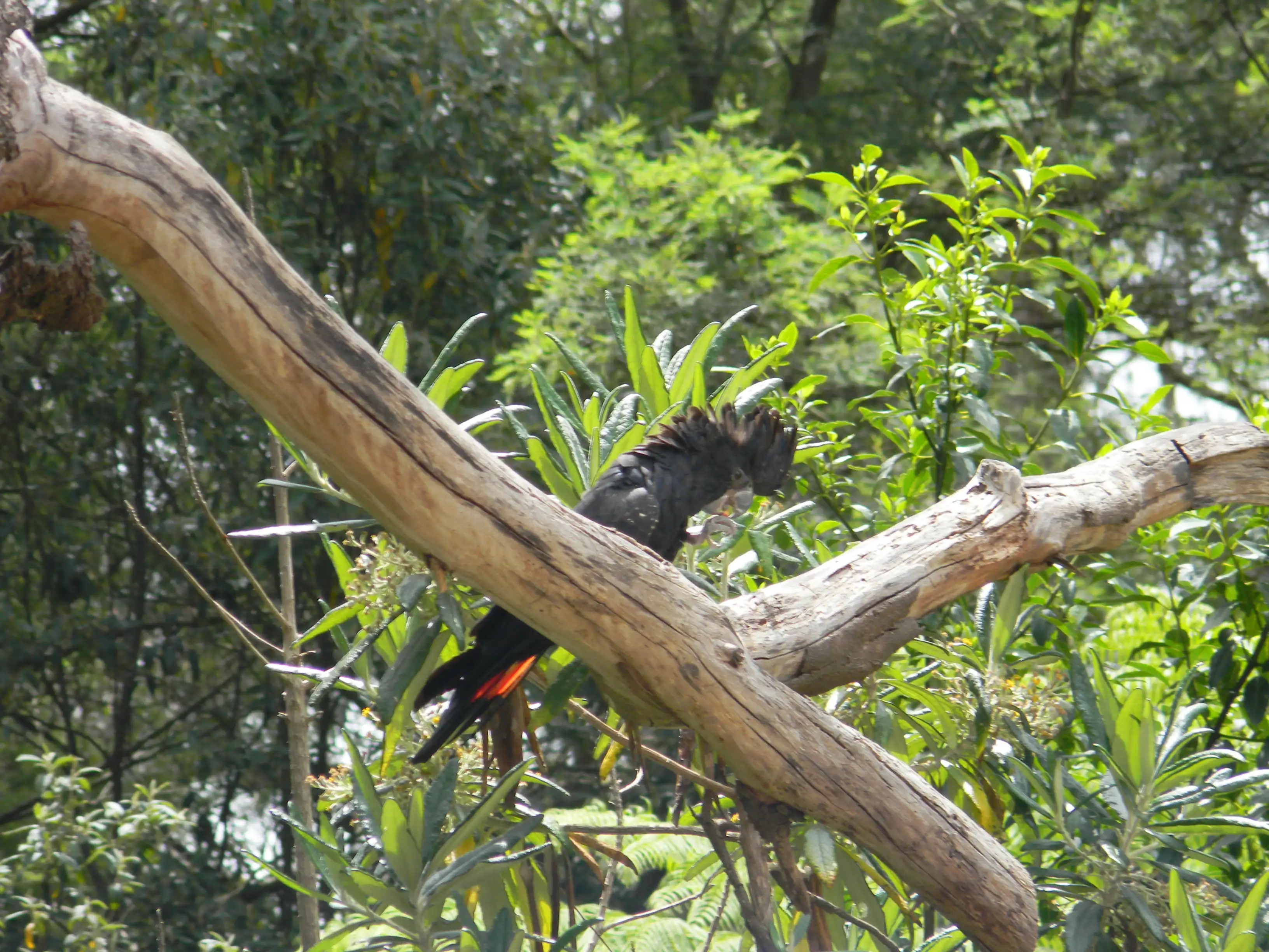 2011 Dec - Melbourne
