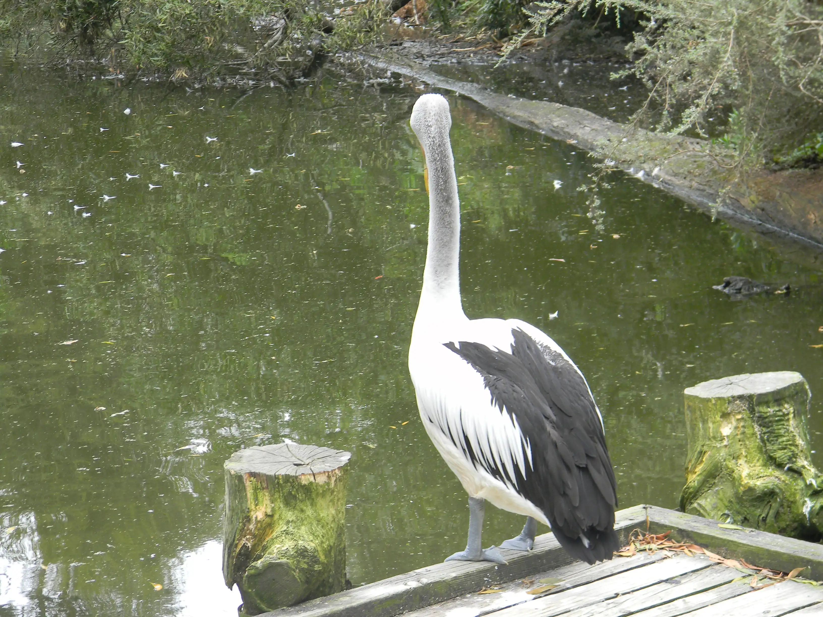 2011 Dec - Melbourne