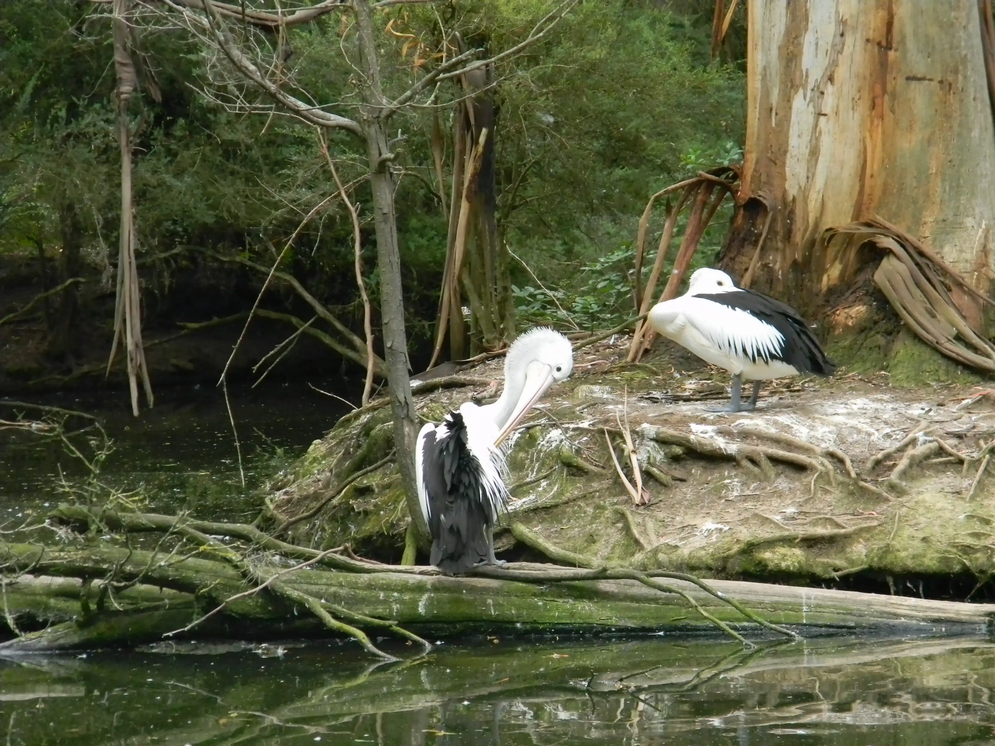 2011 Dec - Melbourne
