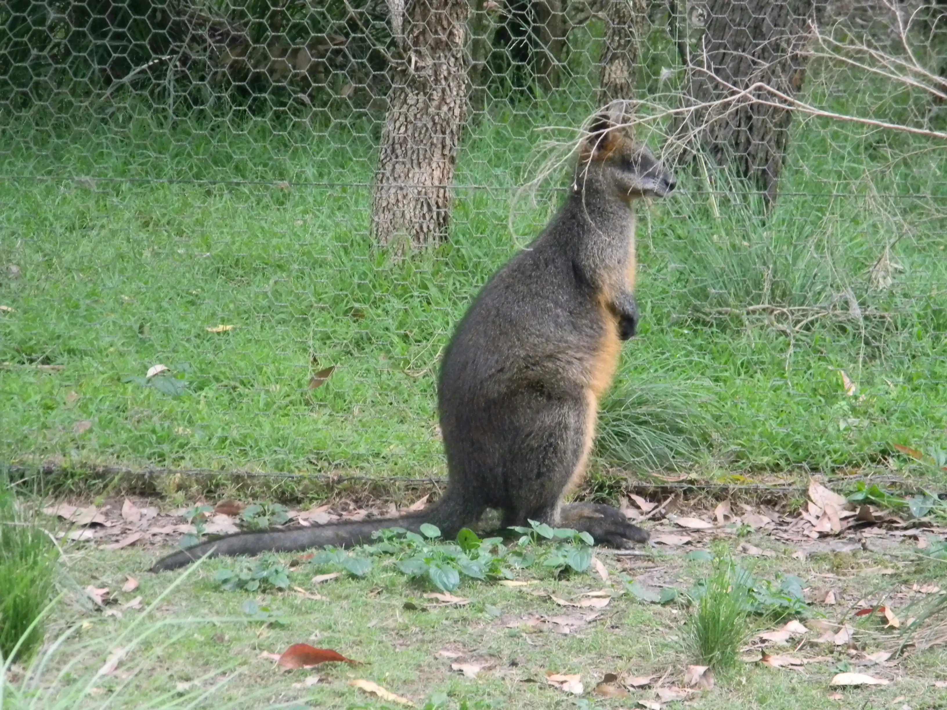 2011 Dec - Melbourne