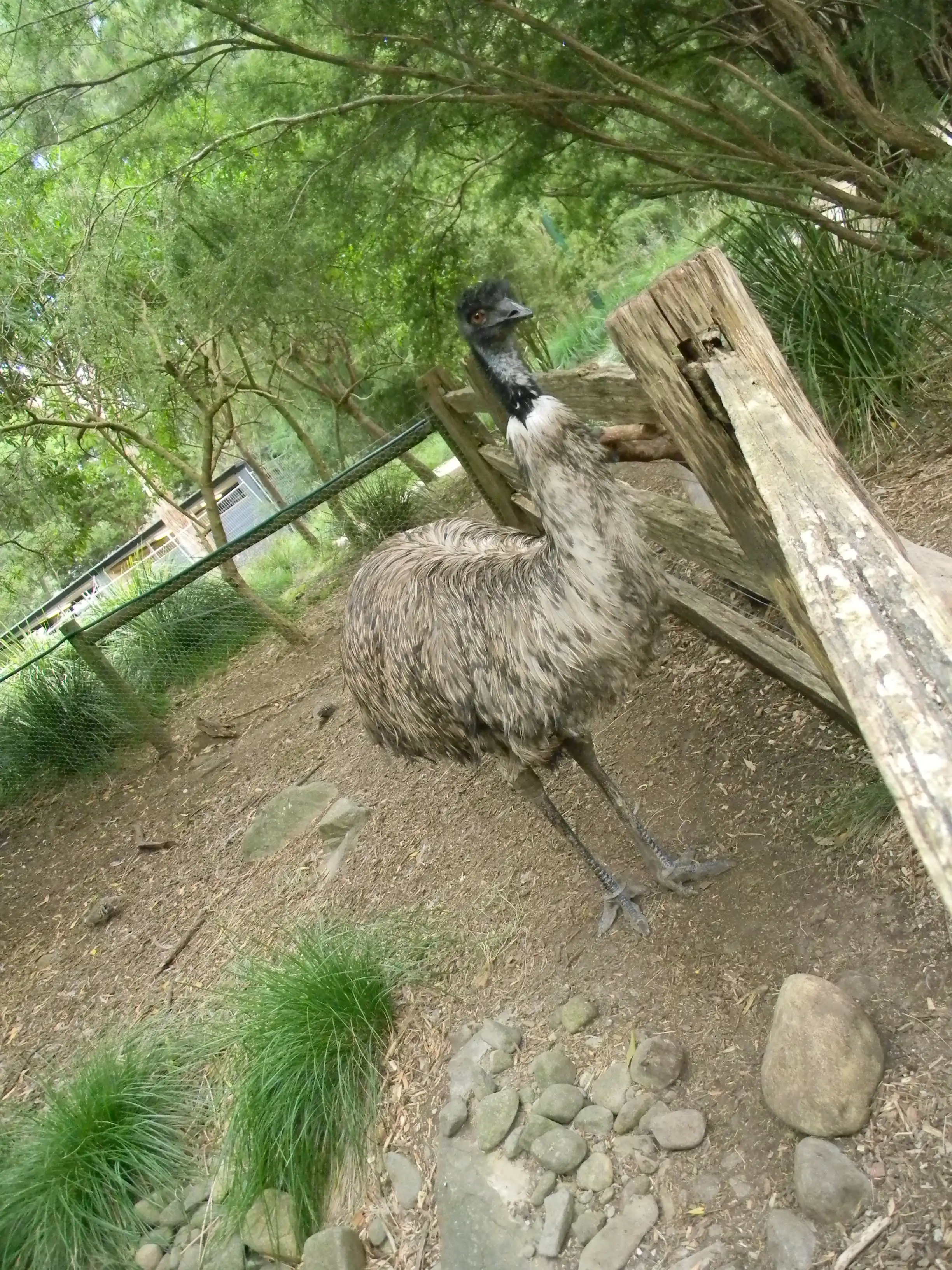 2011 Dec - Melbourne