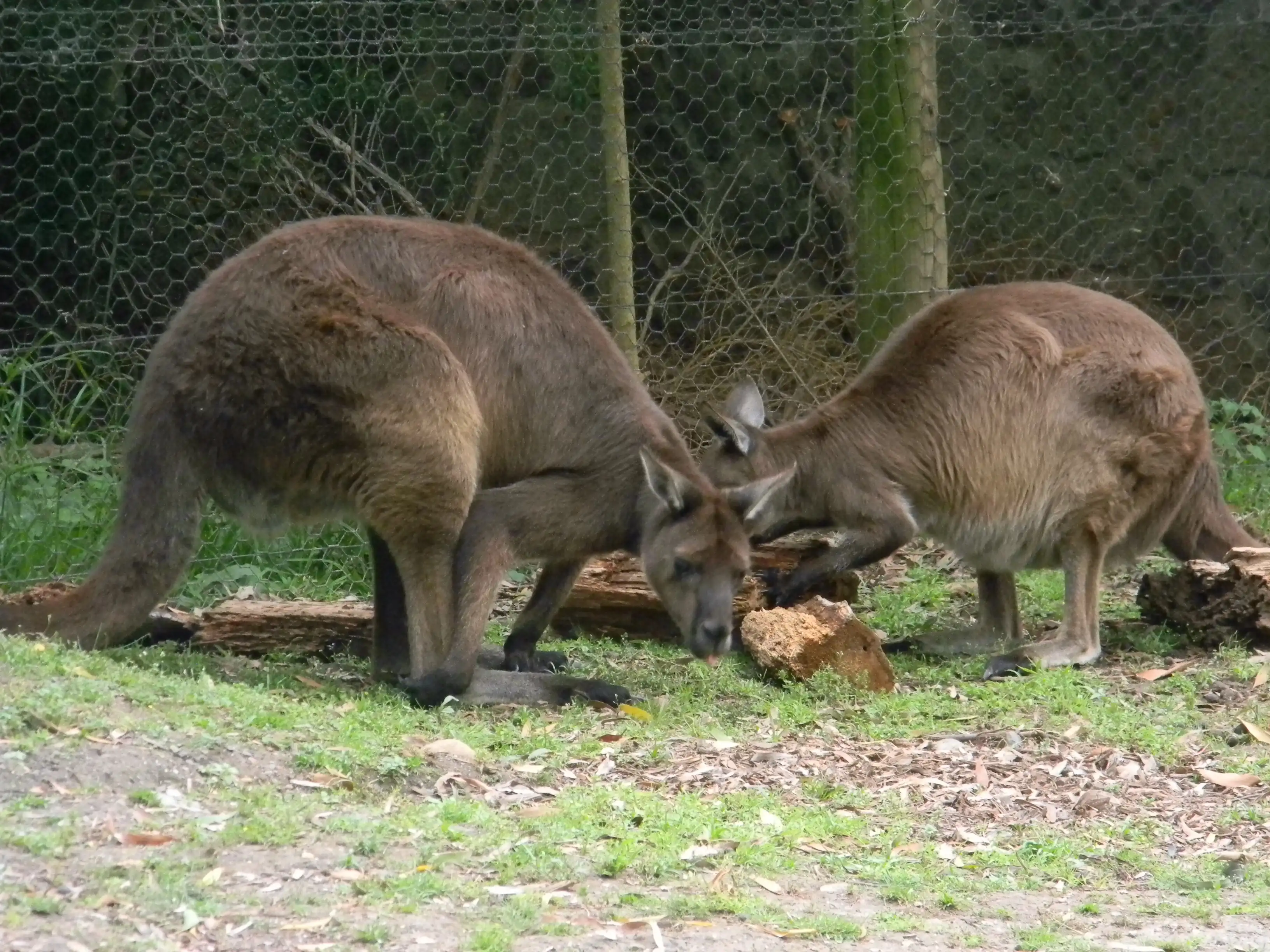 2011 Dec - Melbourne