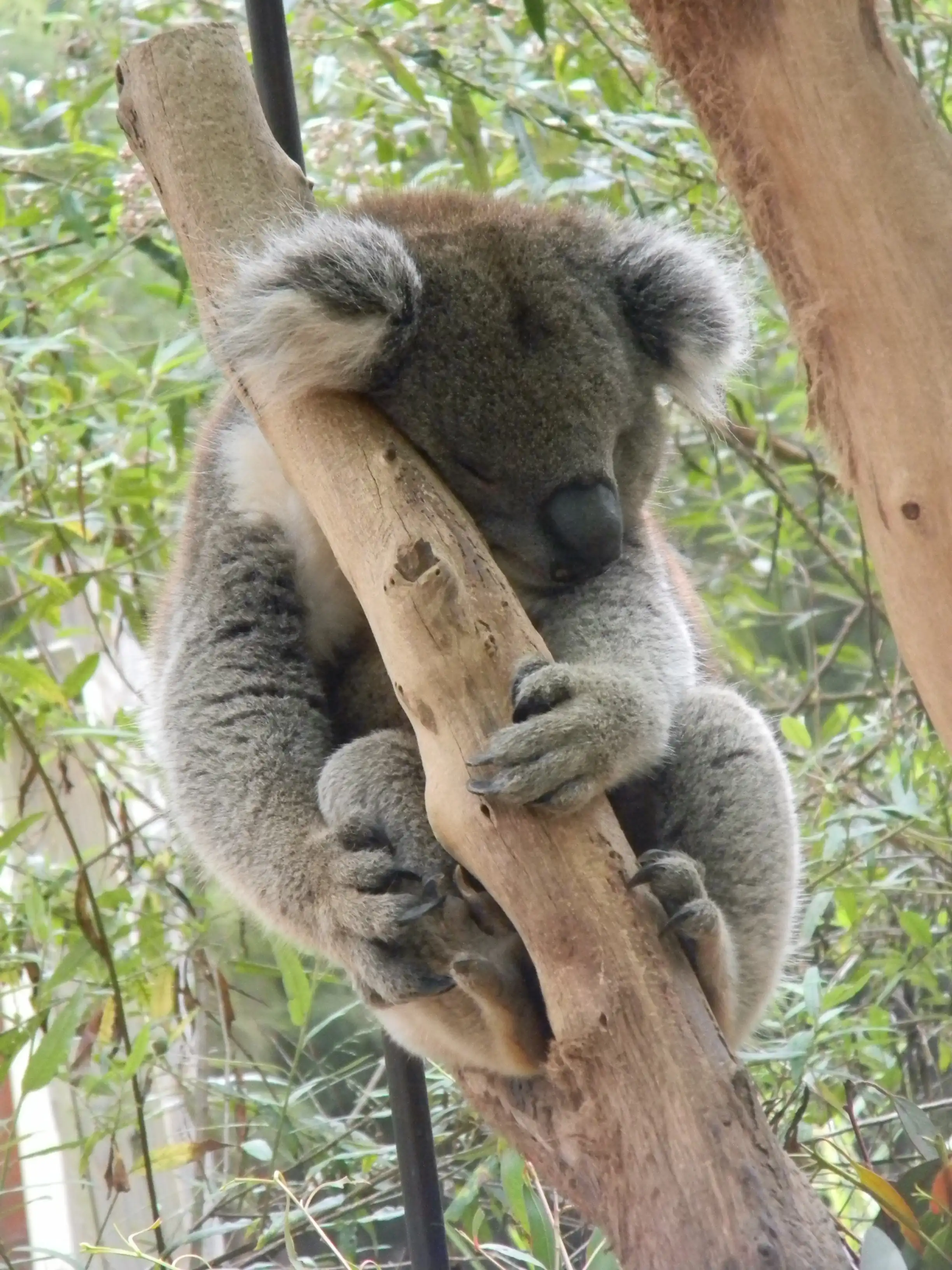 2011 Dec - Melbourne
