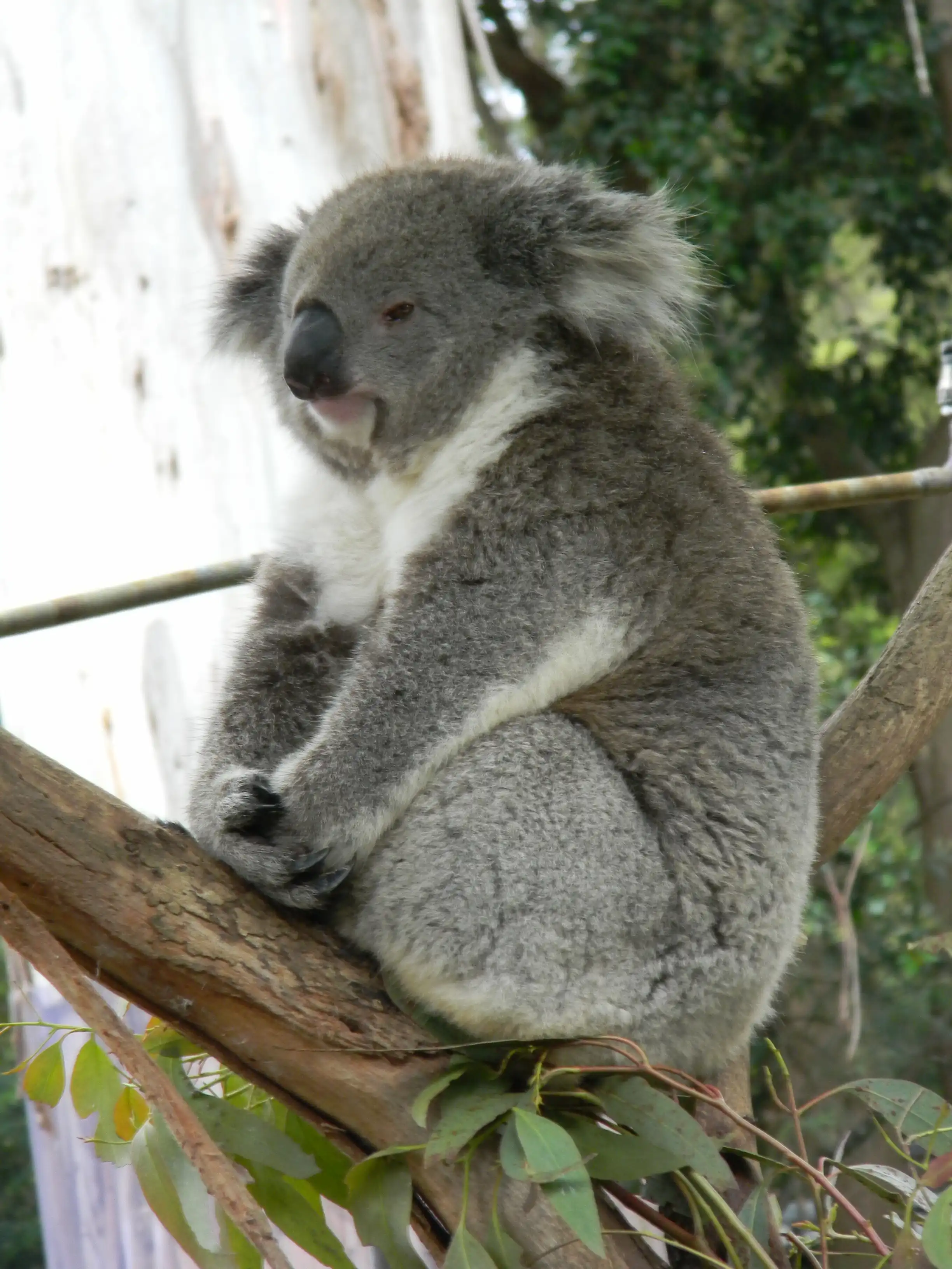 2011 Dec - Melbourne