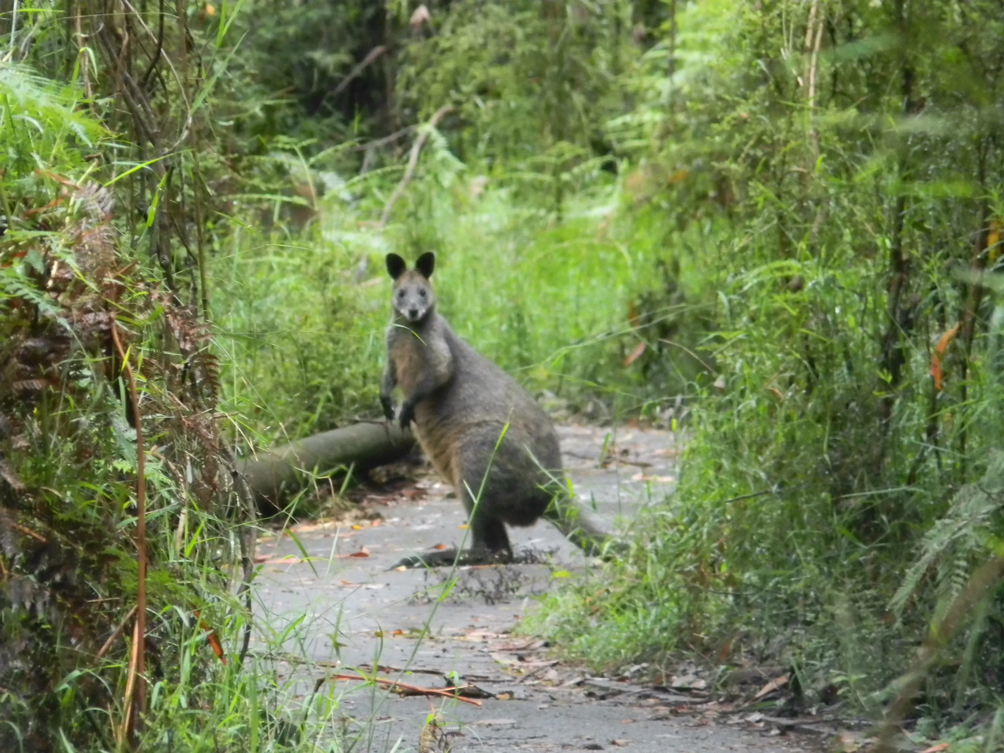 2011 Dec - Melbourne