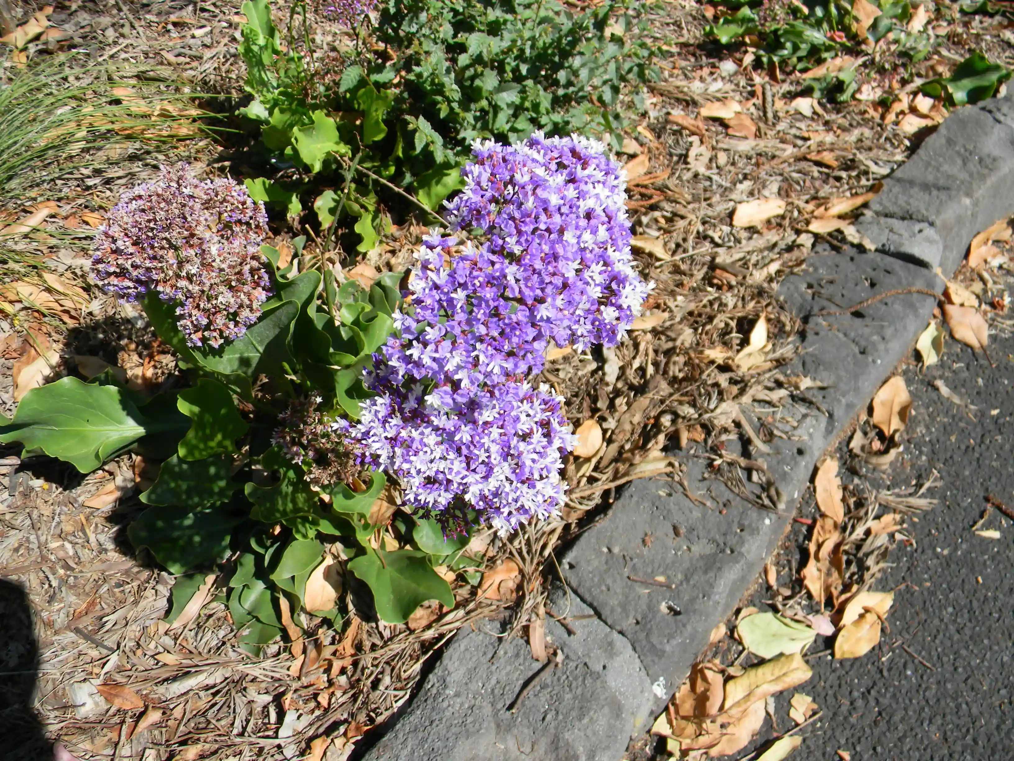 2011 Dec - Melbourne