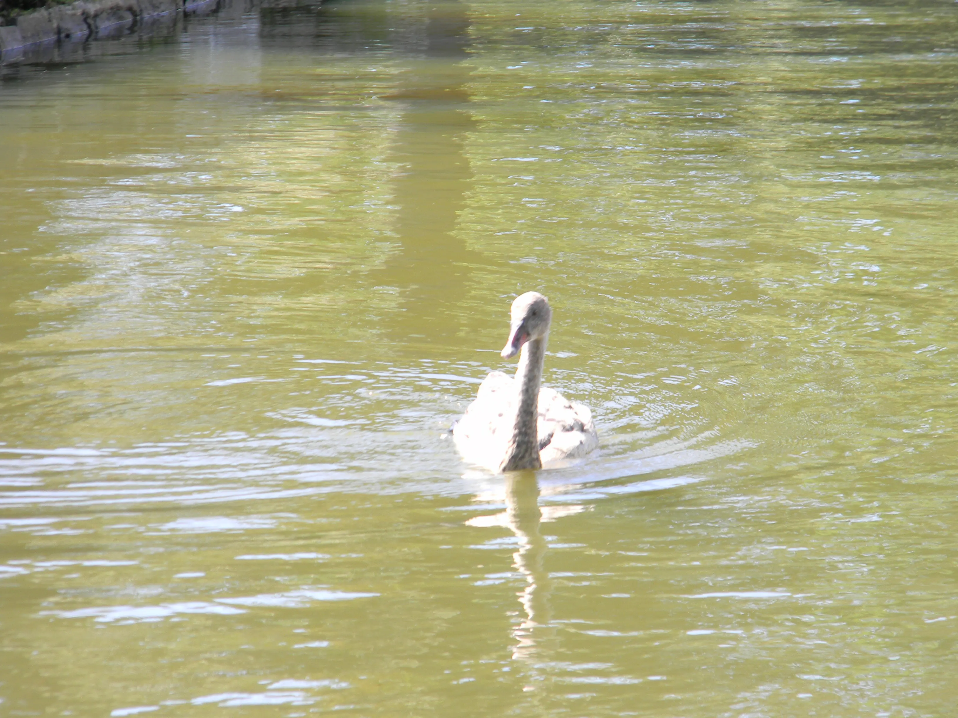 2011 Dec - Melbourne