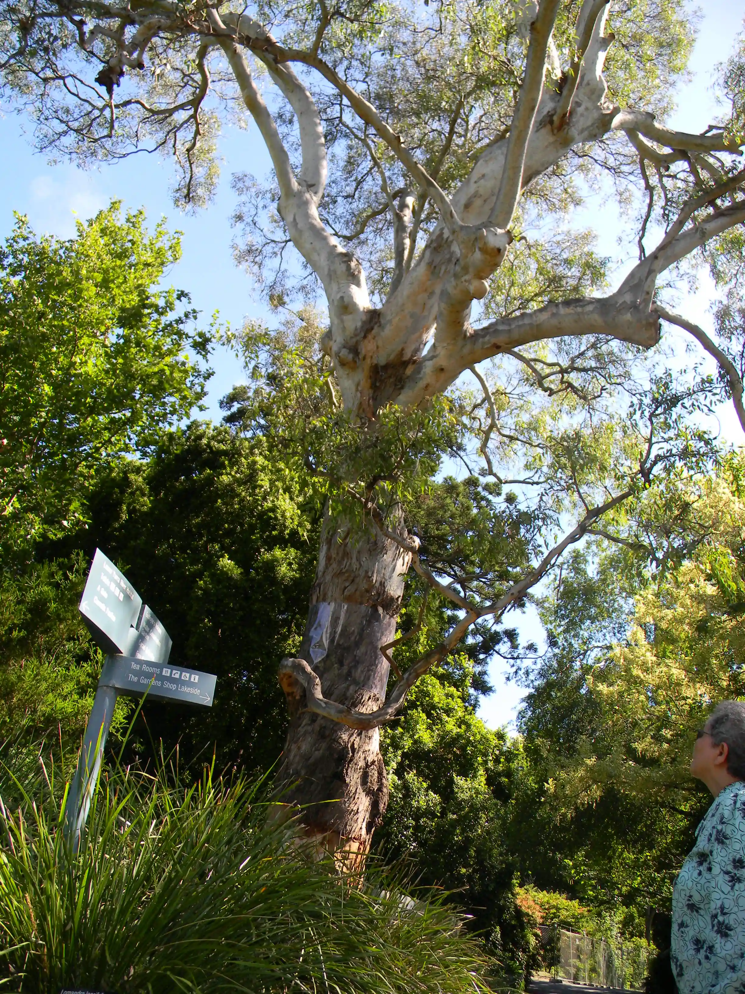 2011 Dec - Melbourne