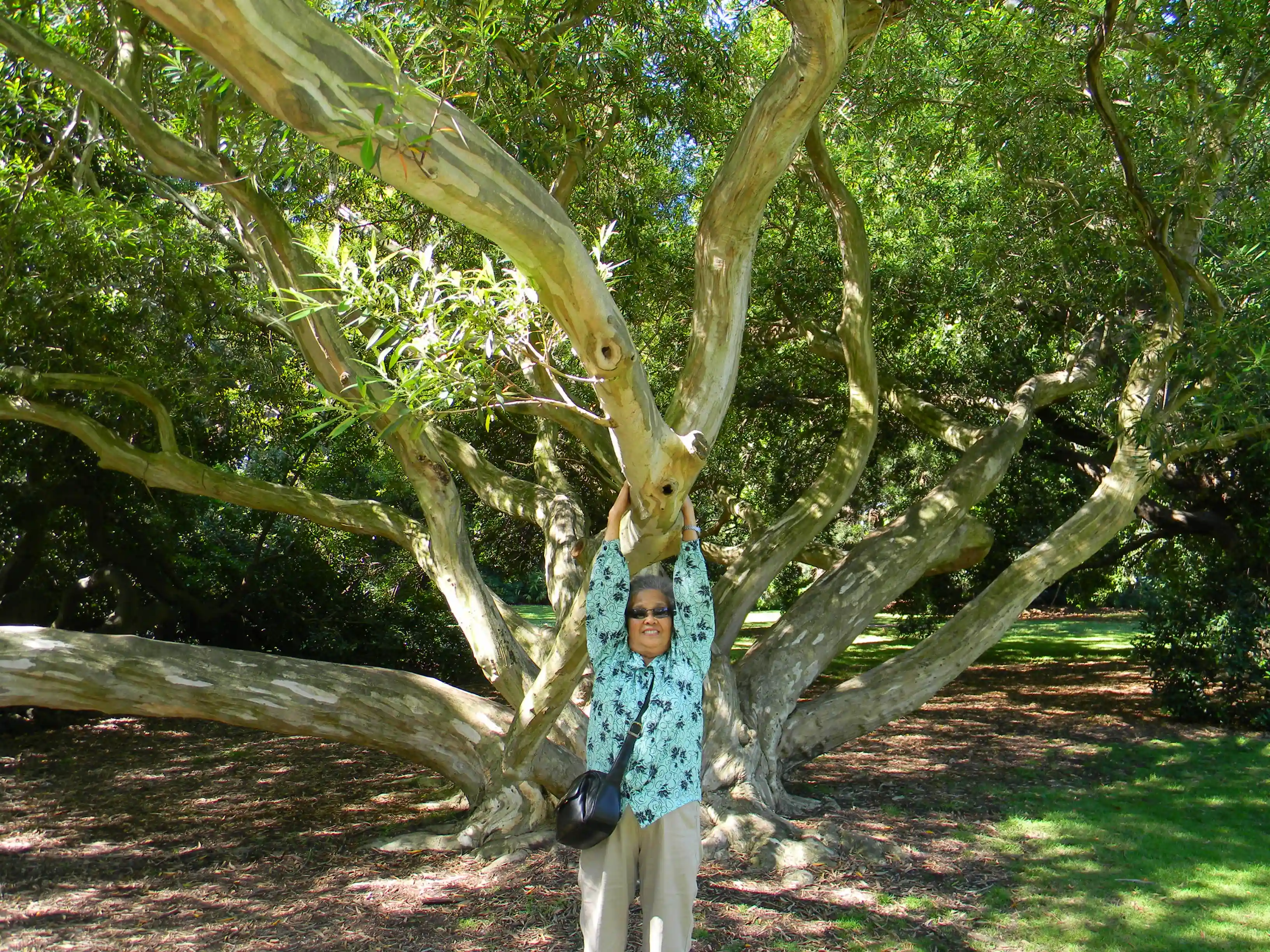2011 Dec - Melbourne