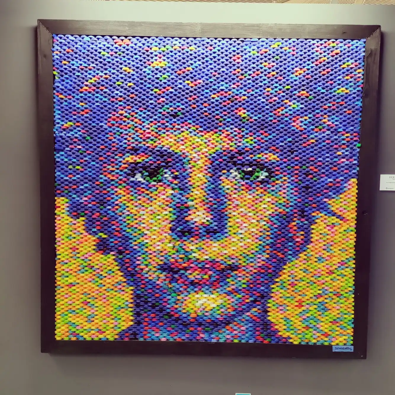 2023 Mar - Crafted out of discarded plastic bottle caps and container lids - by Deniz Sağdıç at IST, Turkey